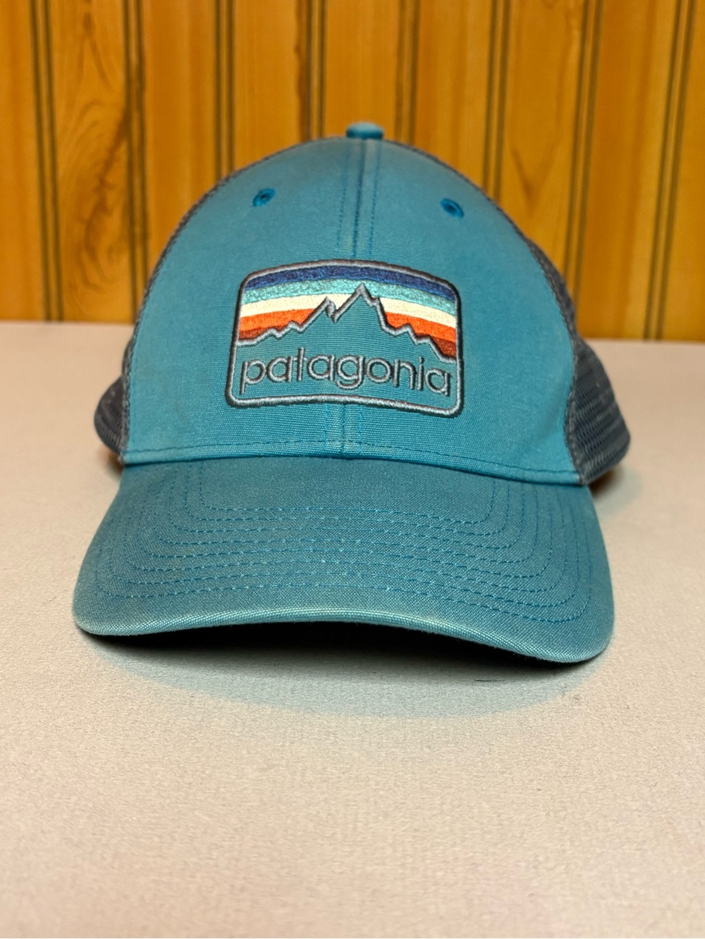 Patagonia Teal and Navy Logo Trucker Hat